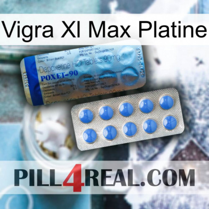 Vigra Xl Max Platinum 40